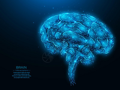 深蓝背景的多角人类大脑矢量图 人工智能的概念 脑解剖低层多元艺术 神经学横幅或模板 (a)背景图片