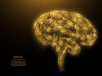 大脑记忆黑暗背景下的多边形人脑矢量图解 人工智能的概念 大脑低聚设计 神经病学横幅或模板插画