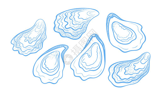 贝壳画手绘纹理牡蛎套装 矢量插图以白色背景隔离插画