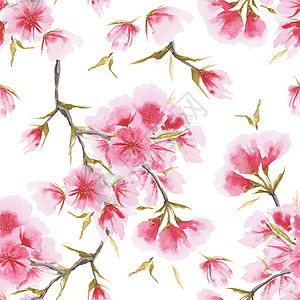 樱花无缝模式开花日本人高清图片