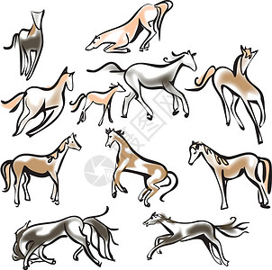 灰狗养宠物的矢量群 马在白色背景中被孤立农场冠军插图荒野活动力量跑步速度竞赛野马设计图片