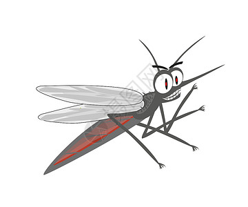 蚋愤怒的蚊子漫画野生动物瘟疫动物眼睛危险翅膀寄生虫疟疾沼泽疾病插画