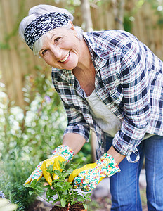 我从不知道我有绿拇指 一个快乐的老妇人在后院园艺高清图片