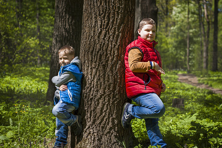 春天森林里的两兄弟 孩子们的互动 在清新的空气中漫步于绿色公园 来自太阳光线的神奇光芒落在后面蓝色公园孩子树干毛衣男人松树石头童背景