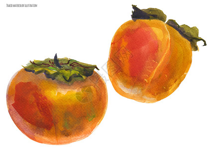 两颗橙色的双硅酸橘子水果背景图片