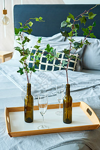 张裕葡萄酒时尚的睡房室内 盘子上有双张床和葡萄酒瓶中的树枝桌子早餐情绪休息格子毯子亚麻房子植物湿气背景