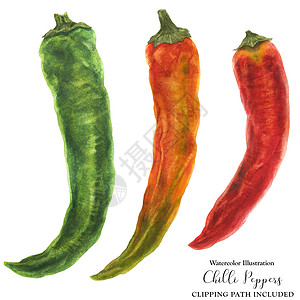 一组辣椒三个辣椒 绿色 橙色 红色饮食胡椒蔬菜植物美食燃烧食物营养插图水彩背景