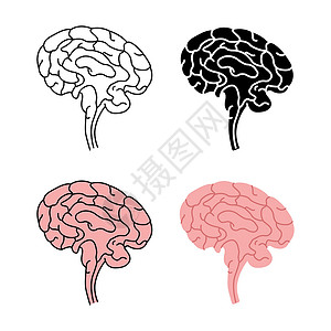 卷积以白色背景隔离的健康人类大脑侧面视图矢量插图Name设计图片