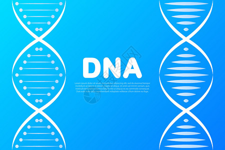 螺旋设计黑色 dna Logo 符号 用于医疗设计的图标遗产螺旋抗体生物学基因组染色体遗传顺序科学生活设计图片