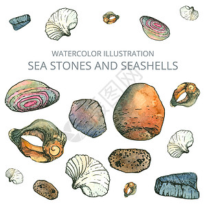 砂岩画白色背景的海石和贝壳 矢量插图设计图片