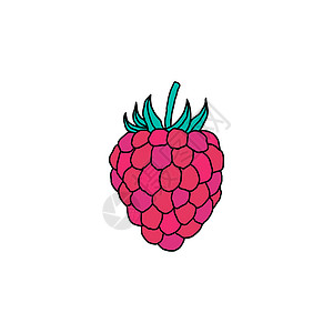 有机覆盆子草莓的面条风格覆盆子收成浆果食物涂鸦甜点小吃热带白色手绘插画