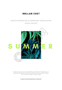 夏威夷花卉设计配有棕榈叶 外来热带夏季病媒背景雨林派对艺术明信片海滩植物海报传单绿色卡片背景图片