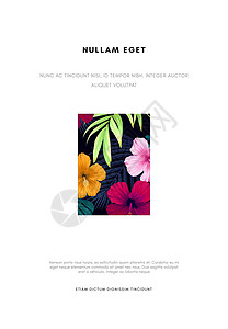 夏威夷花卉设计 配有棕榈叶和花 热带夏季病媒背景背景图片