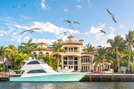 佛罗里达州劳德代尔堡豪华海滨大宅 有飞行海鸥高清图片