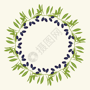 绿色橄榄框架圆形的植物高清图片