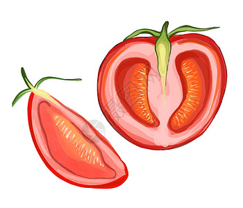 鸡心红李两片半番茄 手工抽水彩色插图 红番茄李普插画