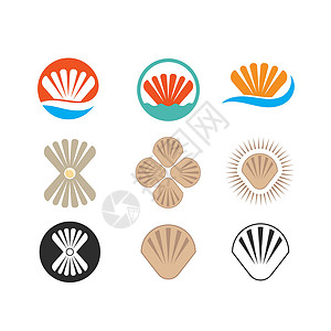 扇贝壳海容器矢量图标图说明概念设计牡蛎小龙虾贝类食物动物海鲜生活贝壳标识热带插画