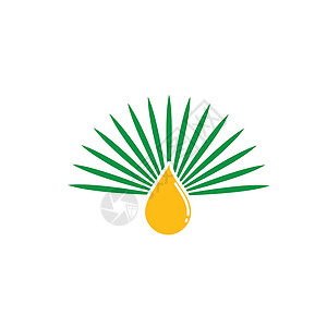棕榈油图标树叶矢量概念设计模板农业生物热带食物烹饪标签产品种子蔬菜棕榈插画