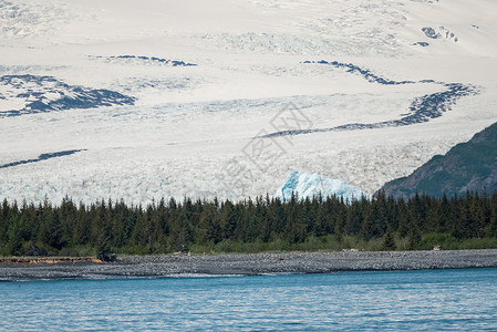 贡多戈罗冰川冰冷的旅游高清图片