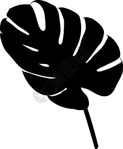 黑色花素材怪物或棕榈叶的黑色轮廓插画