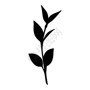 黑色和白色植物树叶和干叶枝的黑色圆影设计图片