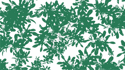 绿色水彩叶子婚礼生态乡村边界框架标本馆艺术植物群横幅插图背景图片