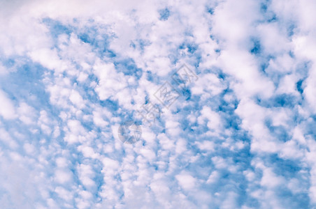美丽的白毛和青白色的花朵 蓝蓝天空背景下的云彩晴天天蓝色气候阳光宗教臭氧空气气象云形天堂背景图片