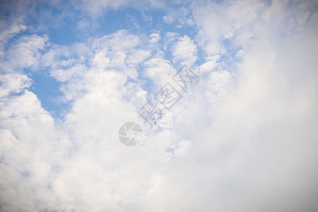 美丽的白毛和青白色的花朵 蓝蓝天空背景下的云彩阳光天堂气氛气象臭氧宗教云形天蓝色天气空气背景图片