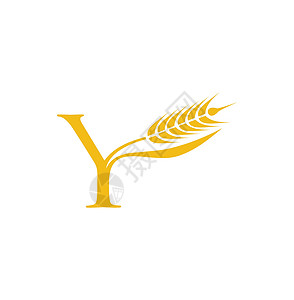 小麦谷物初始字母Y背景图片