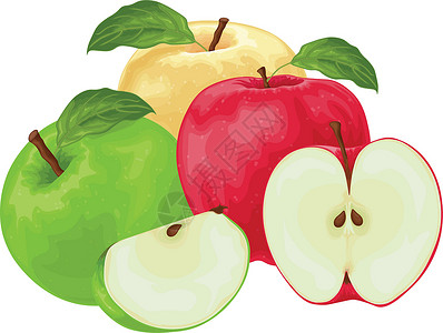 苹果 不同颜色的苹果图像 红色绿色和黄色的苹果 三个苹果的集合 在白色背景上孤立的矢量图叶子树叶食物甜点果汁小吃水果营养饮食艺术插画
