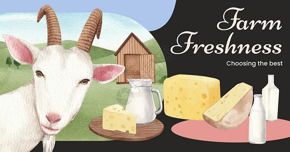 山羊奶酪带有山羊奶和奶酪农场概念 水彩色风格的Facebook模板社区宠物哺乳动物山羊牧场孩子小山羊家畜保姆乳房插画