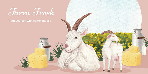羊奶酪带山羊奶和奶酪农场概念的博客头版模板 水彩风格宠物吉祥物广告喇叭奶制品保姆动物园食物网站绘画插画
