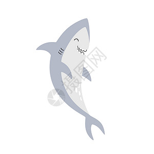 可爱的婴儿鲨鱼被隔离在白色背景上背景图片