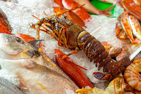 伊斯坦布尔销售海产食品美食的市场摊位沿海旅行鱼档零售钓鱼食物烹饪海鲜展示文化背景图片