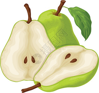 梨树叶梨 一个成熟的绿色梨的图像 一块切好的梨 花园里的甜水果 素食维生素产品 矢量图艺术营养农业水果插图叶子卡通片饮食树叶主义者插画