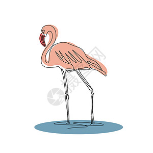 站在花上的鸟火烈鸟美丽的粉色鸟类站在水线上设计图片