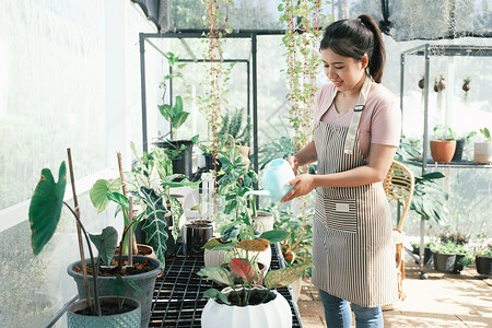 花店室内植物学花的高清图片