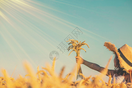 拿着小麦女孩一个小麦田里的孩子 有选择的焦点婴儿喜悦生活幸福晴天日落环境女士女儿植物背景