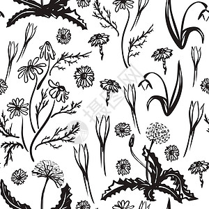 继母矢量插图 弹簧集以黑线绘制 第一朵春花 图像用于您的装饰和设计插画