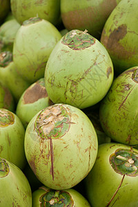 供出售的新鲜椰子显示堆叠作品健康饮食棕榈蔬菜阳光叶子光效背景图片