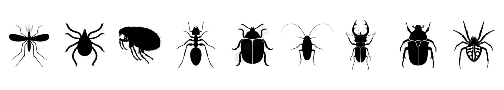 狼蛛星云昆虫图标集 各种昆虫的轮廓 矢量图解插画