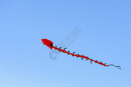 风筝 在云层中的蓝天空中吹风风的多彩风扇 红龙形的长蛇背景