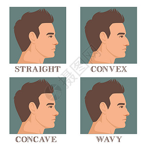 翘鼻男性脸部的外形 有不同种类的鼻锥 直鼻 结骨和卷状 矢量插图设计图片