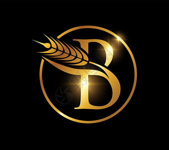 金黄小麦谷物 最初字母B背景图片
