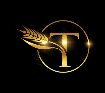 金黄小麦谷物 最初字母T背景图片