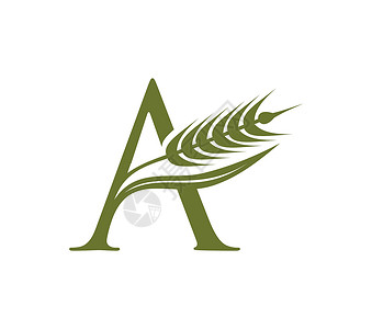 logo字母Wheat 谷物和初始 Logo 字母 A标识农民花园粮食叶子农场商业植物奢华收成设计图片