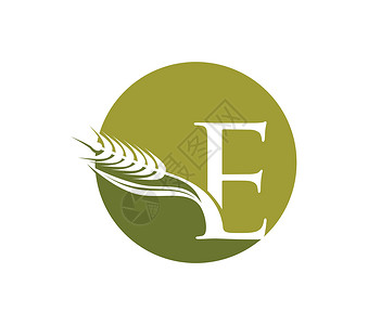 谷粒多Wheat 谷粒和初始标准字母 E奢华商业花园收成食物公司身份标识机构小麦插画
