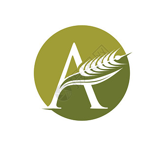 Wheat 谷物和初始 Logo 字母 A商业标识奢华机构公司花园农业植物品牌小麦背景图片