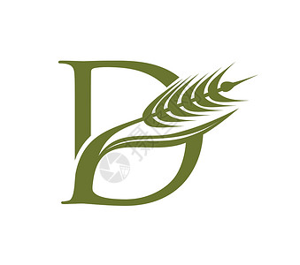 Wheat 谷物和初始 Logo 字母 D品牌标识小麦公司商业食物花园粮食植物叶子背景图片