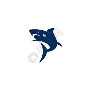 蓝色鲨鱼鲨鱼图标徽标设计插图模板野生动物标签运动生活黑色动物吉祥物捕食者牙齿危险插画